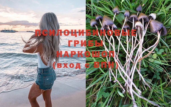 mix Пролетарск