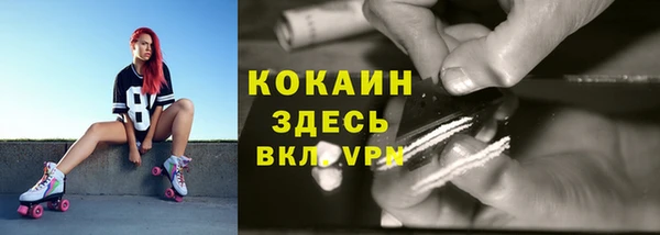 эйфоретик Аркадак