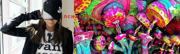 стаф Михайлов