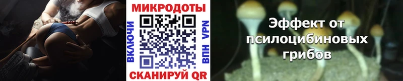 купить  цена  darknet Telegram  Псилоцибиновые грибы мицелий  Талдом 